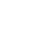 Global icon